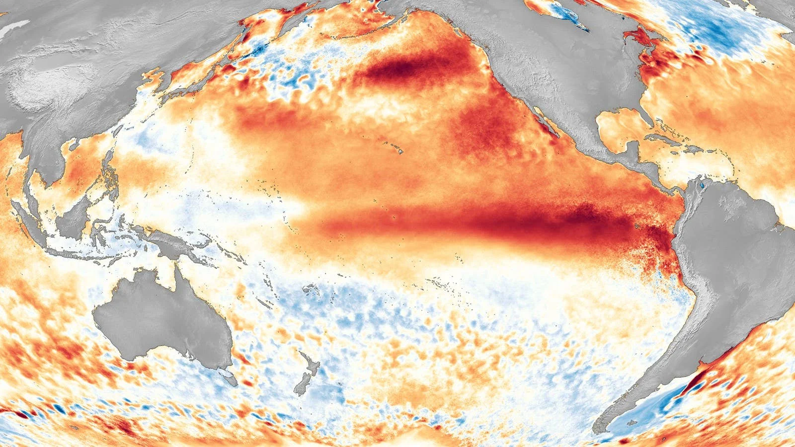 Super El Niño Could Cause Over 450,000 Heat-Related Deaths by Early 2027
