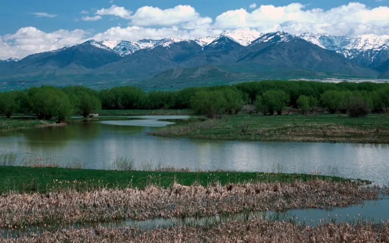 The Bear River in Utah